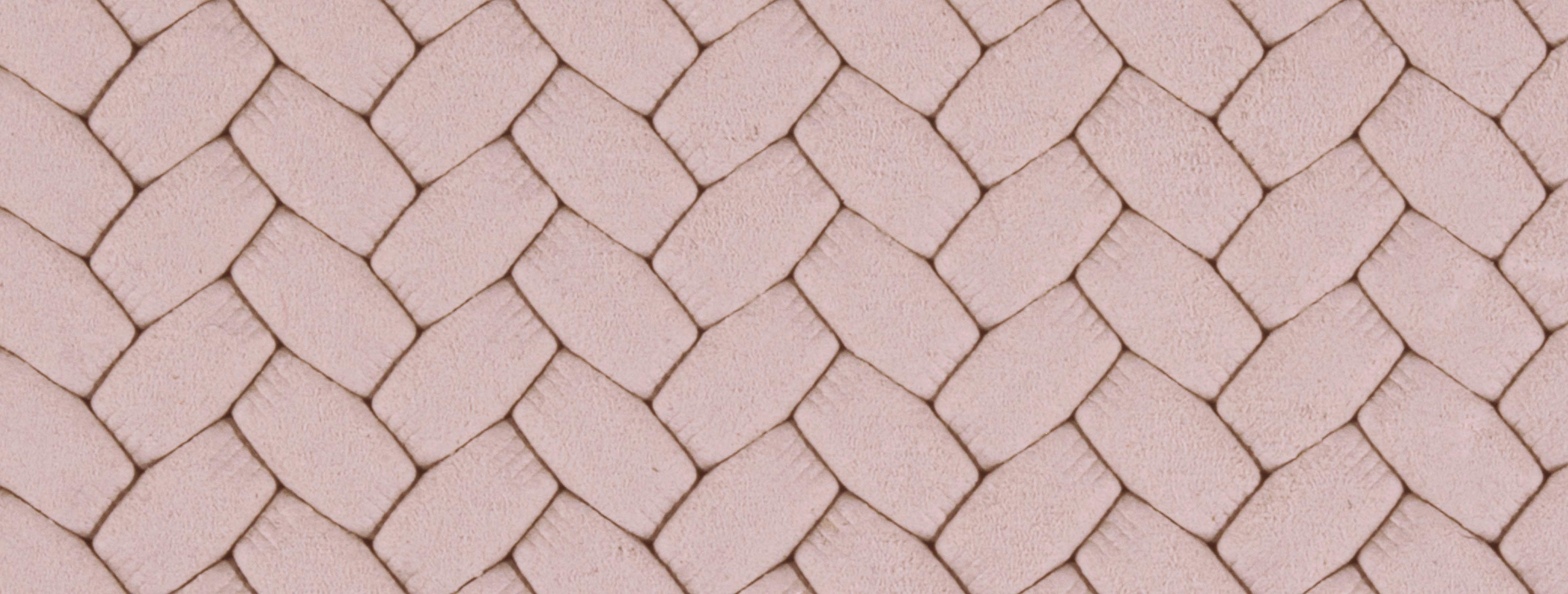 D8 - Fard皮革 - 2338 Europa