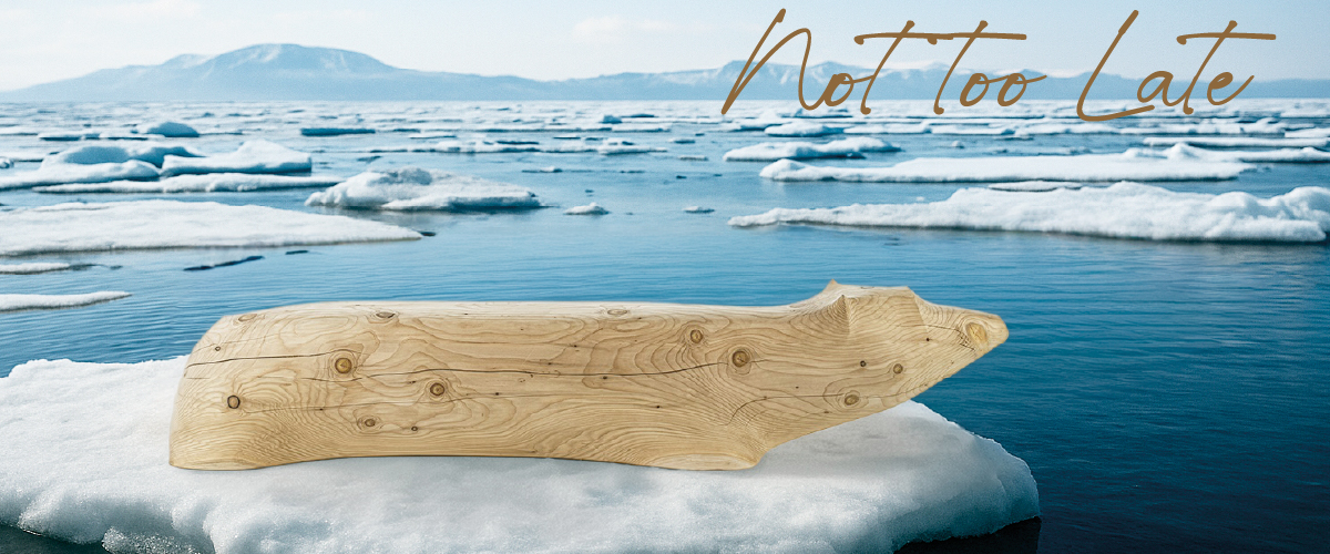 NOT TOO LATE, designed by Silvio Consentino