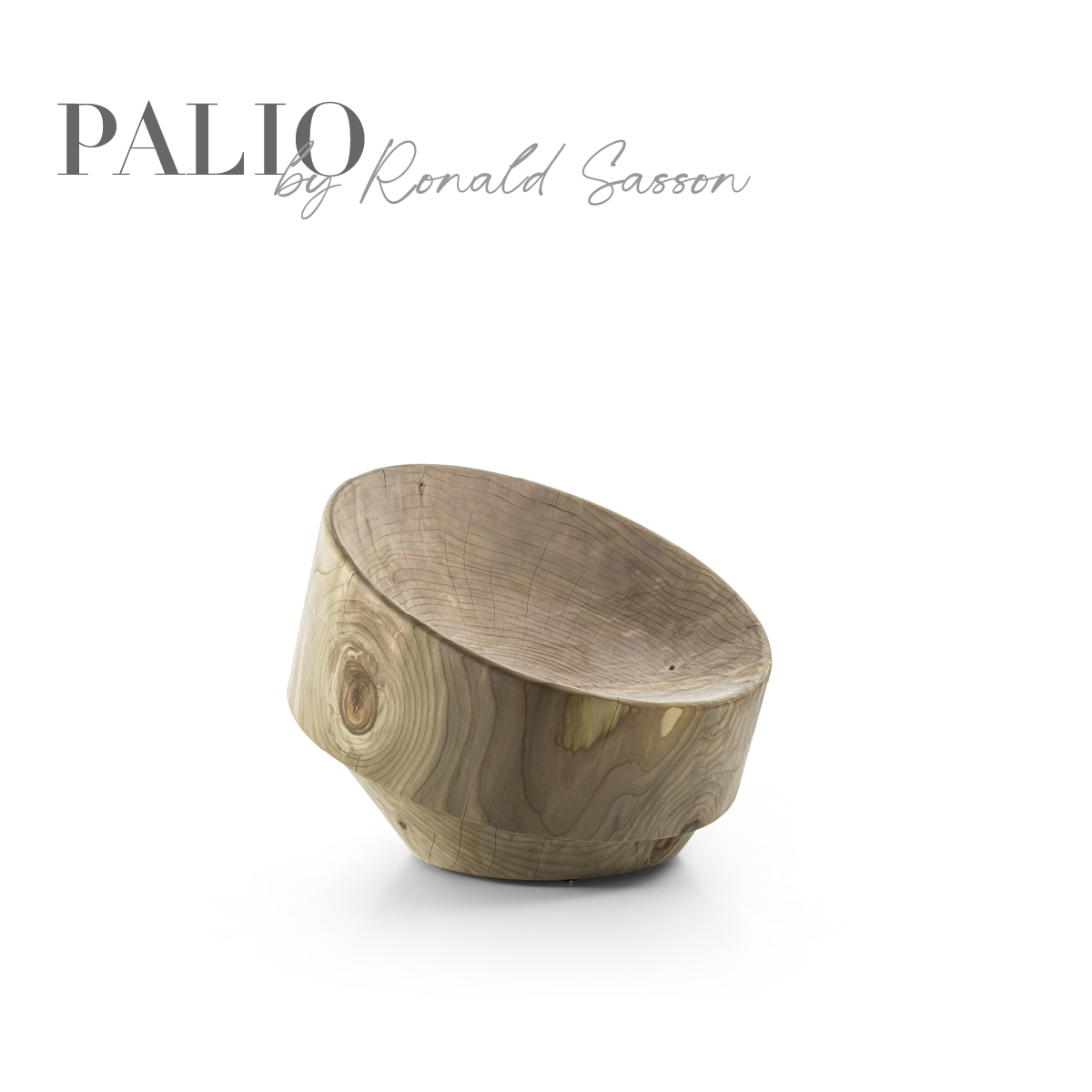 PALIO, by Ronald Sasson